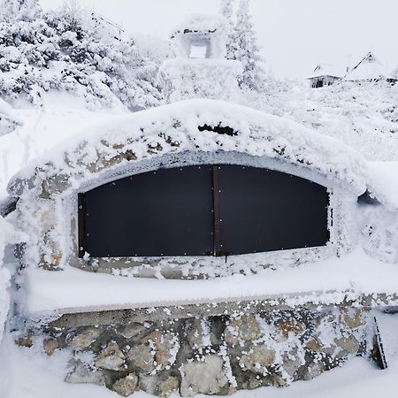 Villa Koca Ojstrica - Velika Planina Stahovica Exterior foto
