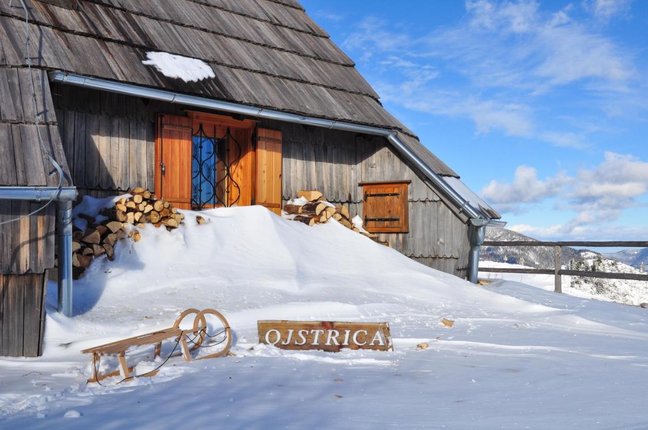 Villa Koca Ojstrica - Velika Planina Stahovica Exterior foto