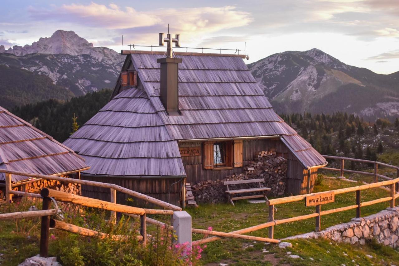 Villa Koca Ojstrica - Velika Planina Stahovica Exterior foto