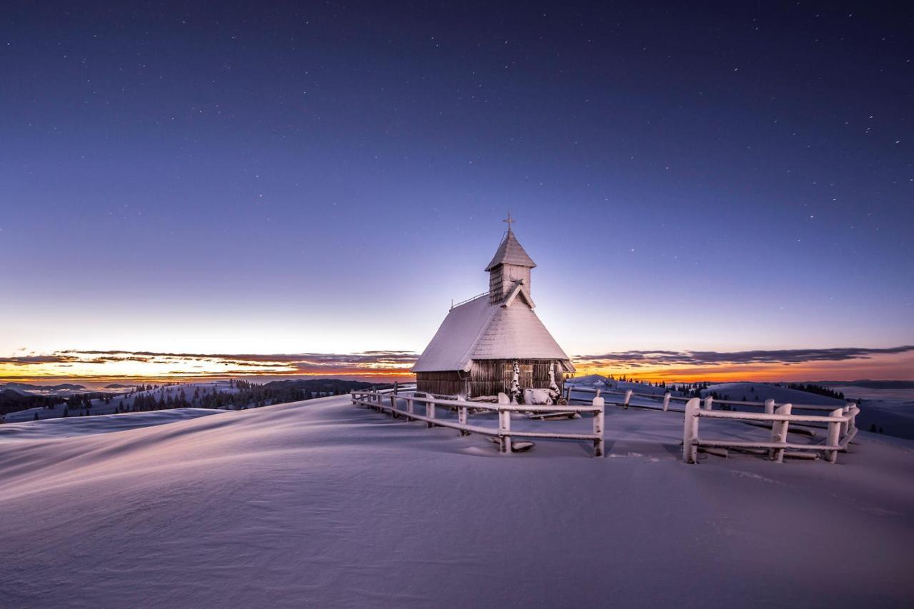 Villa Koca Ojstrica - Velika Planina Stahovica Exterior foto