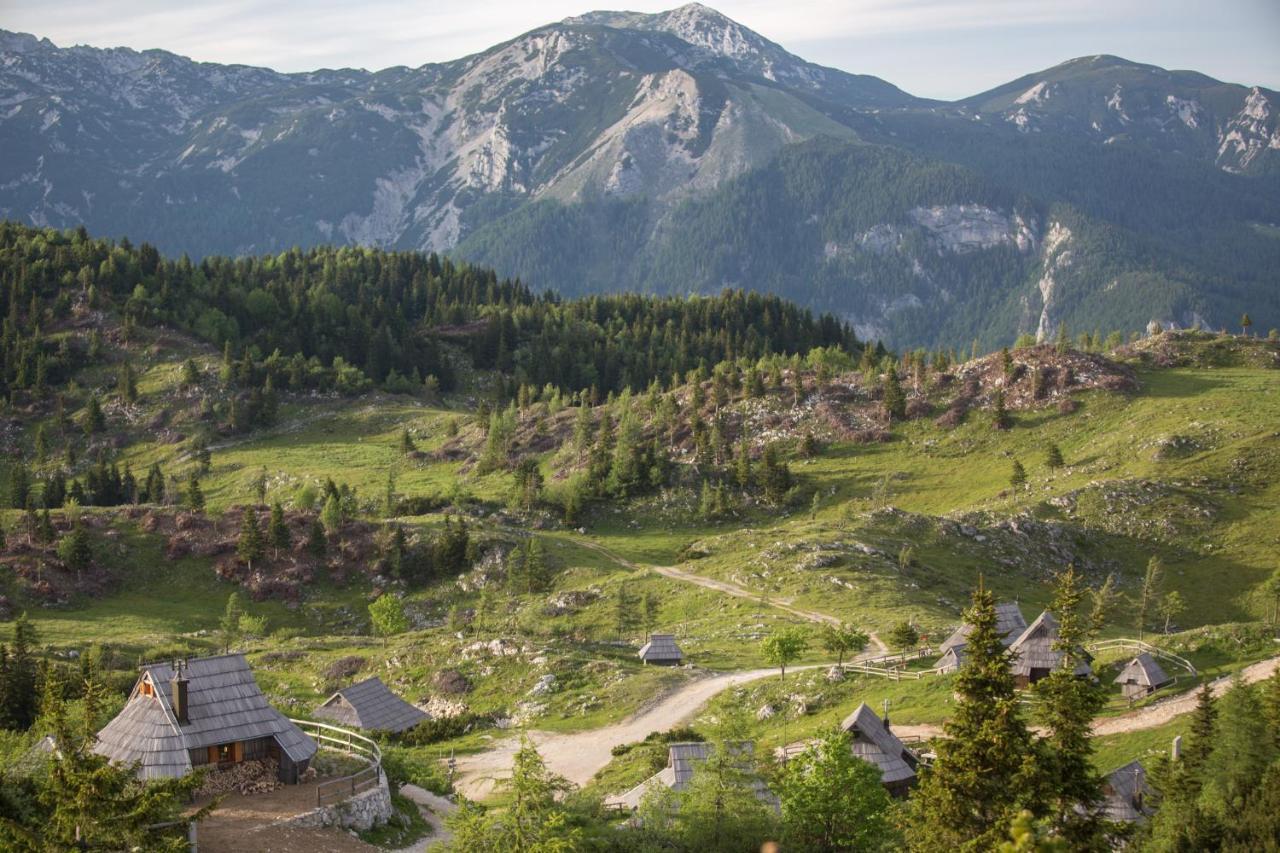 Villa Koca Ojstrica - Velika Planina Stahovica Exterior foto