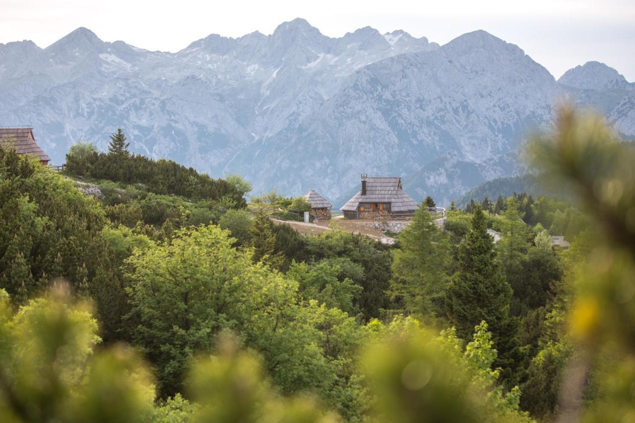 Villa Koca Ojstrica - Velika Planina Stahovica Exterior foto