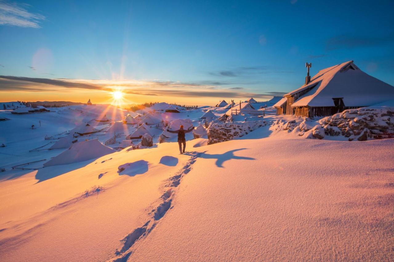 Villa Koca Ojstrica - Velika Planina Stahovica Exterior foto