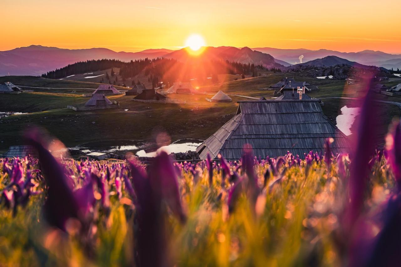 Villa Koca Ojstrica - Velika Planina Stahovica Exterior foto