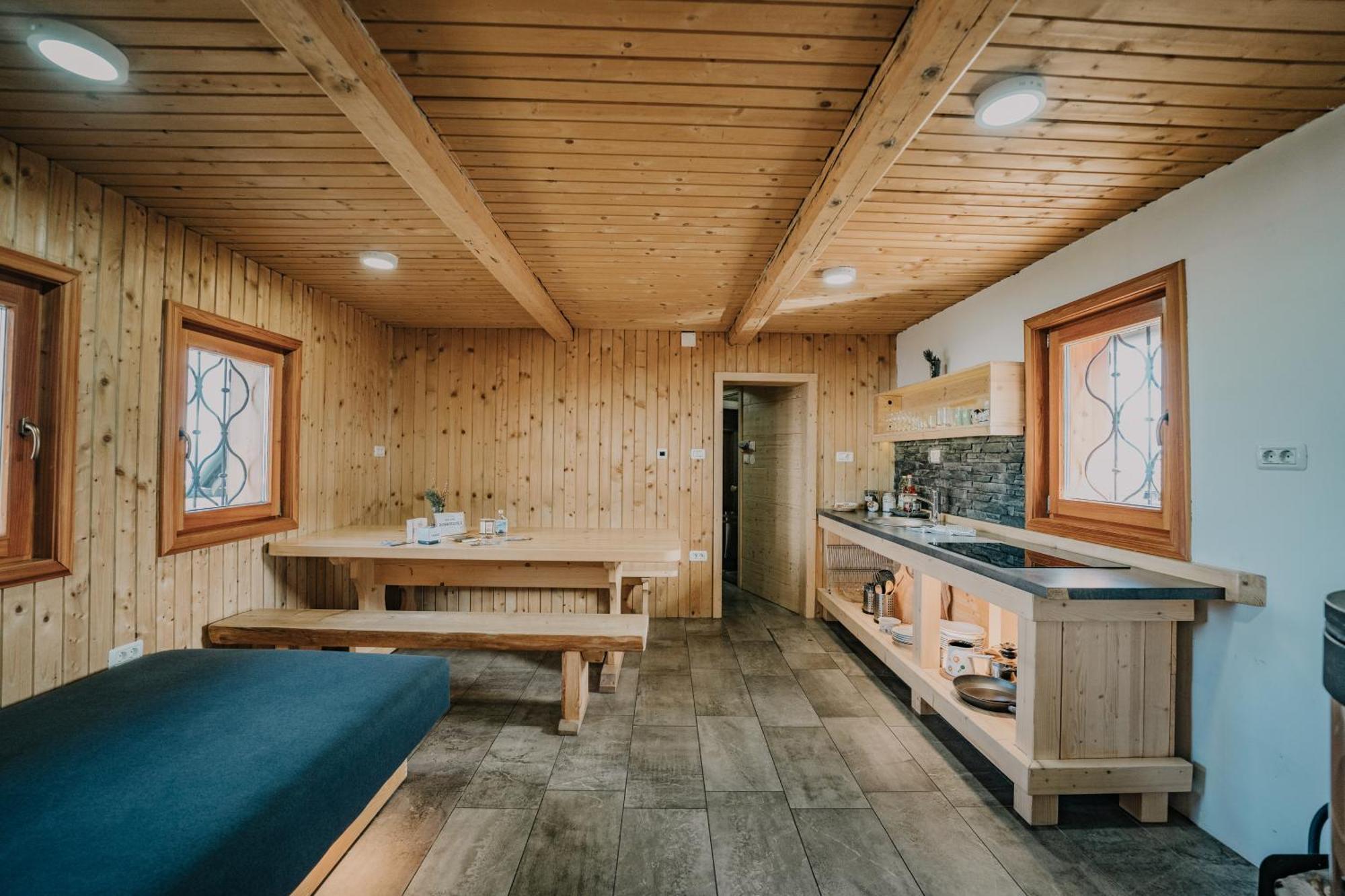 Villa Koca Ojstrica - Velika Planina Stahovica Exterior foto